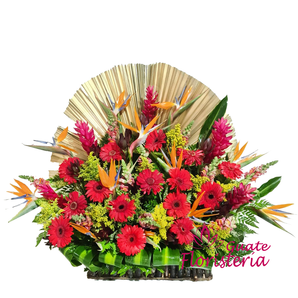 Arreglos de rosas