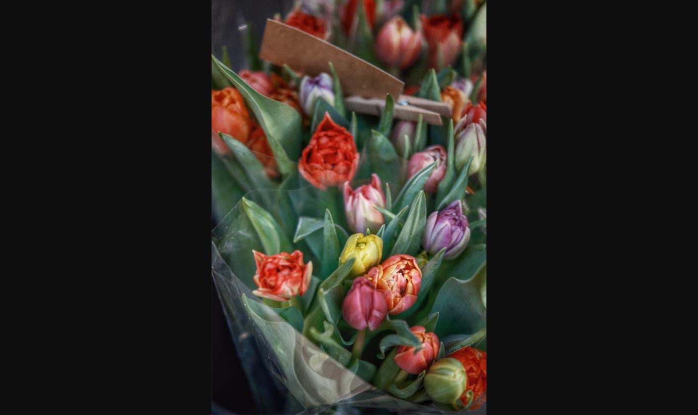 Ramo de tulipanes