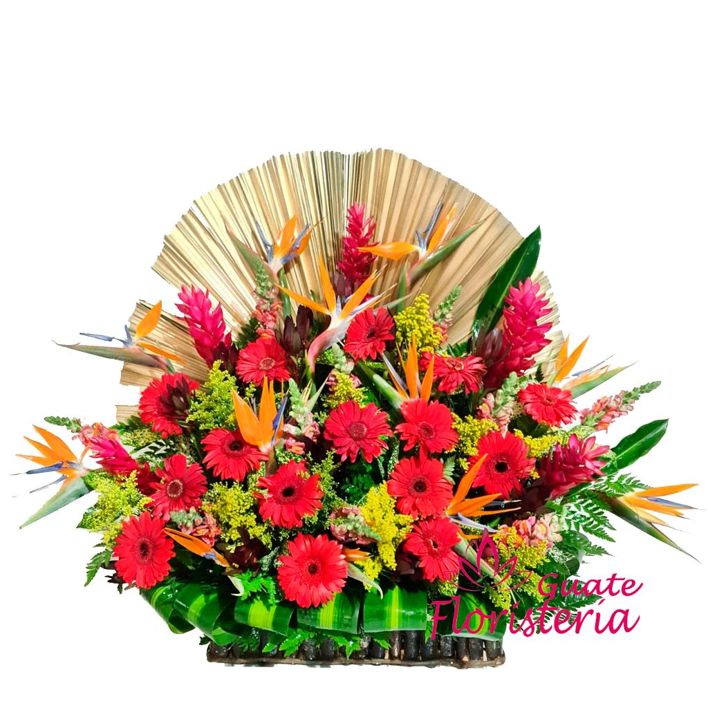 Arreglos de rosas