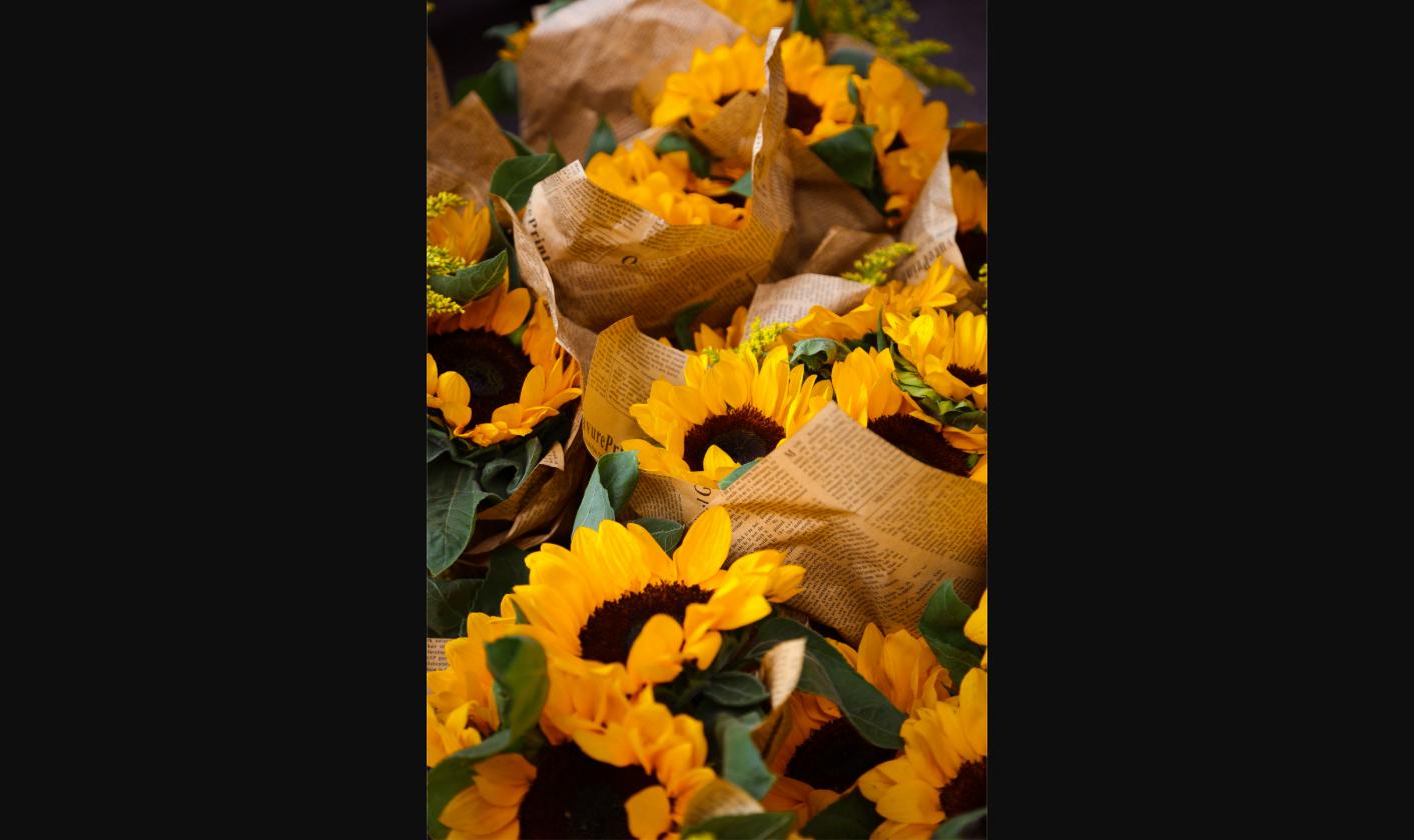 Ramo de girasoles