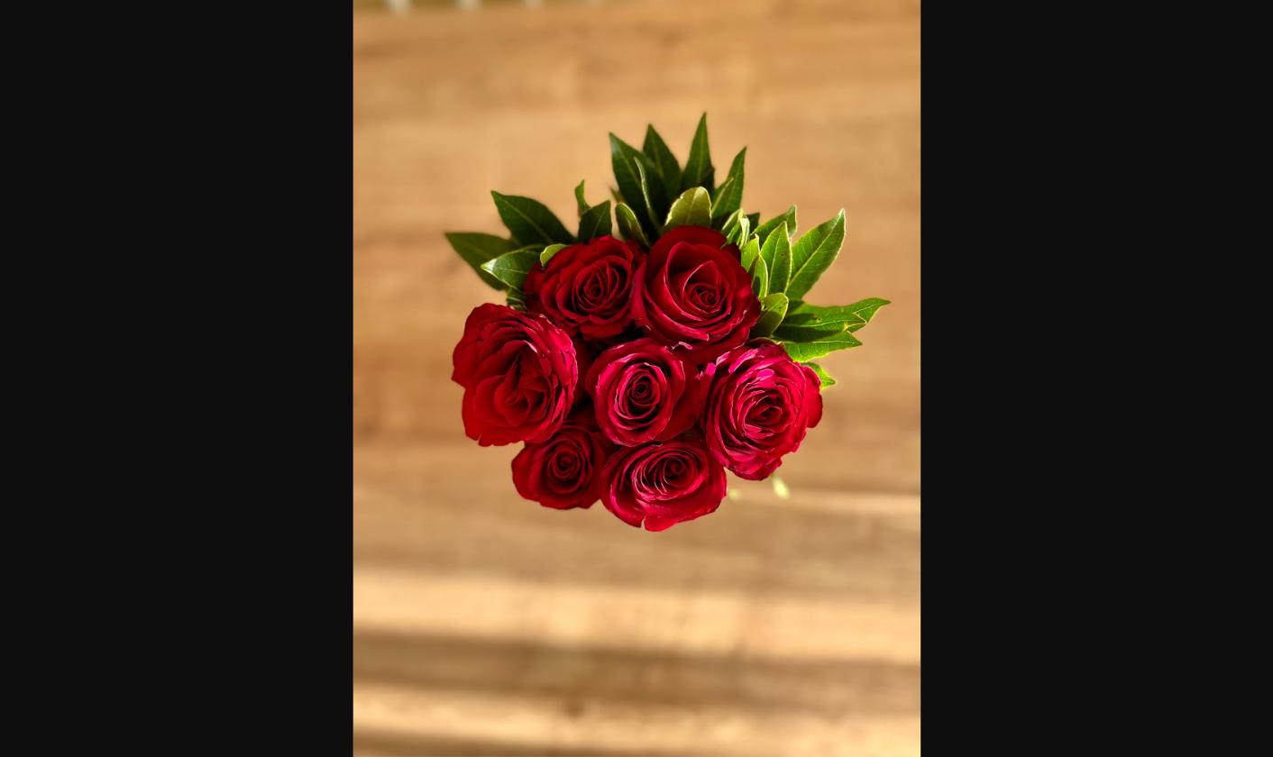 Ramo de rosas rojas (docena)